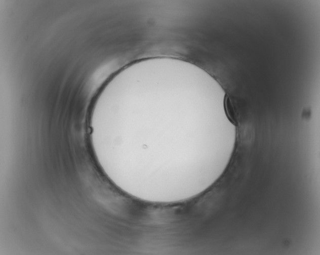 X0000111890340200909031910