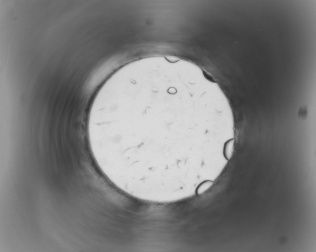 X0000111890341200909031910