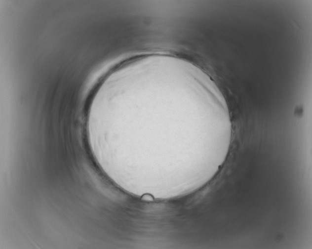 X0000111890342200909031910