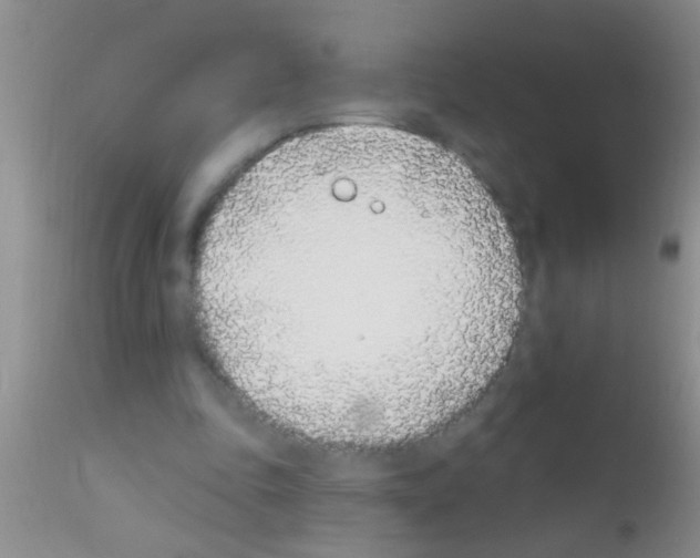 X0000111890343200909031910