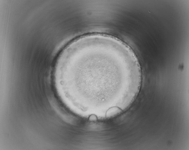 X0000111890346200909031910