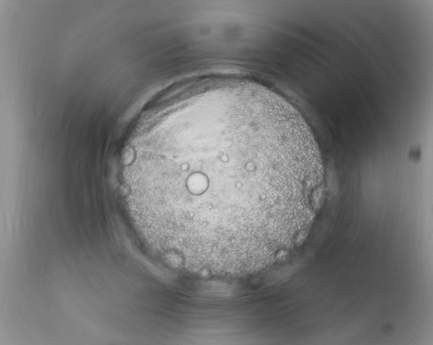 X0000111890347200909031910