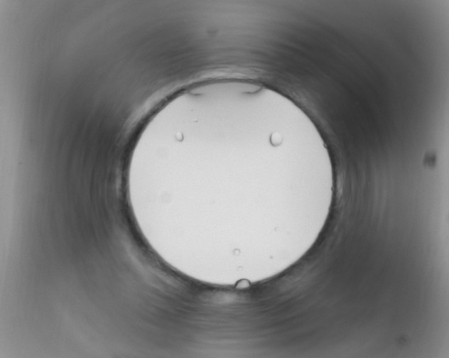 X0000111890348200909031910