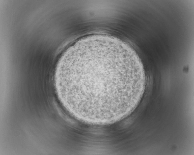 X0000111890349200909031910