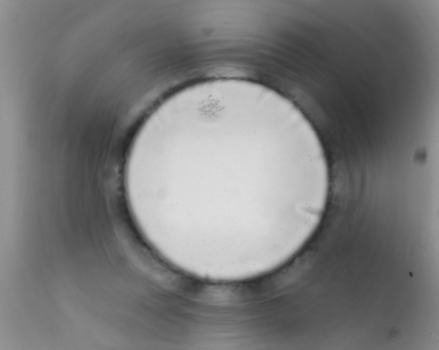 X0000111890351200909031910