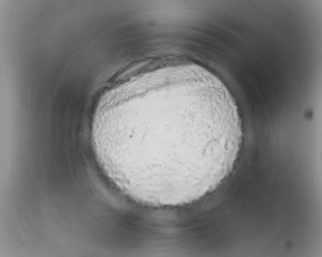 X0000111890353200909031910