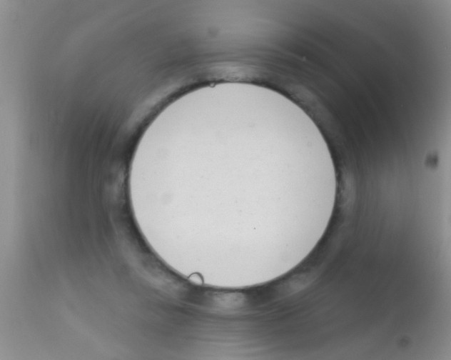 X0000111890355200909031910