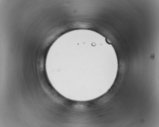 X0000111890358200909031910