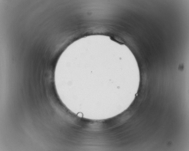 X0000111890362200909031910