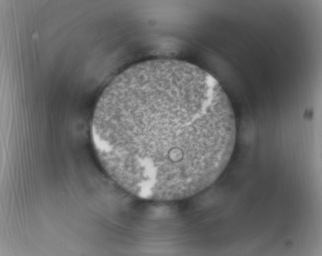 X0000111890370200909031910