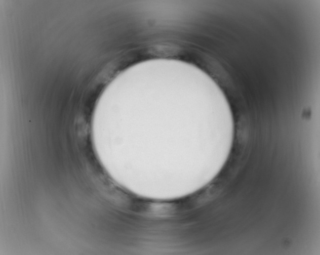 X0000111890371200909031910