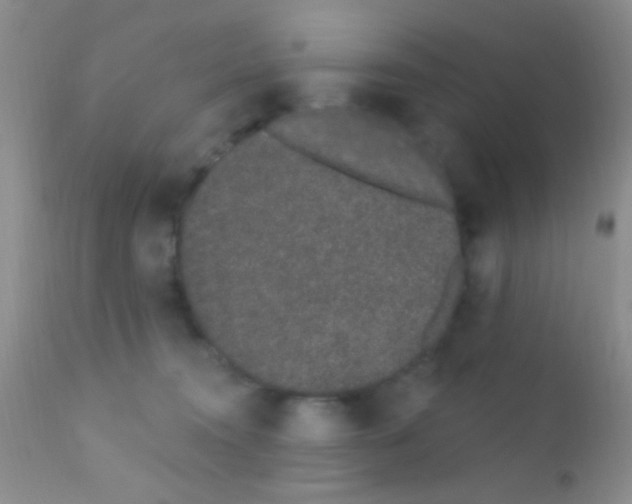 X0000111890372200909031910