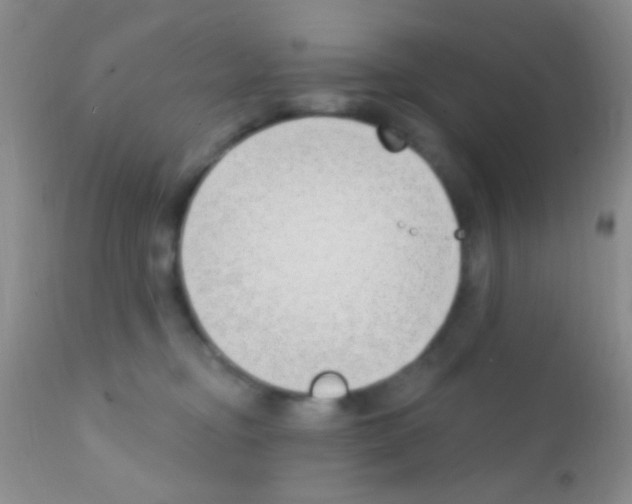 X0000111890374200909031910