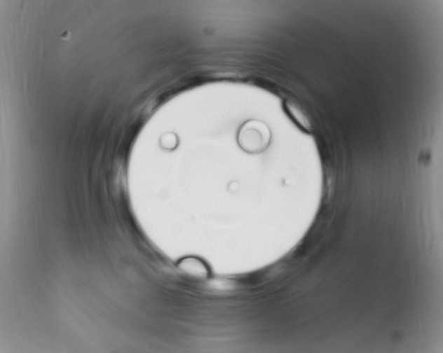 X0000111890376200909031910