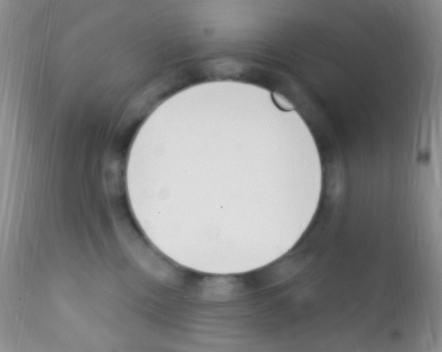 X0000111890378200909031910