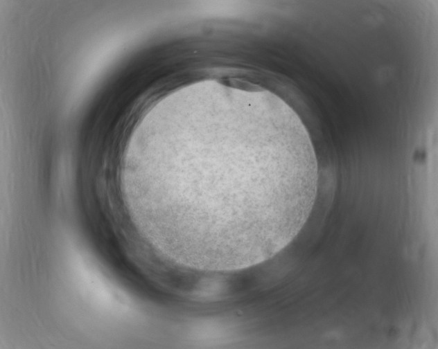 X0000111890381200909031910