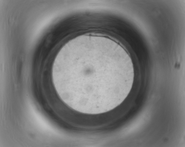 X0000111890383200909031911