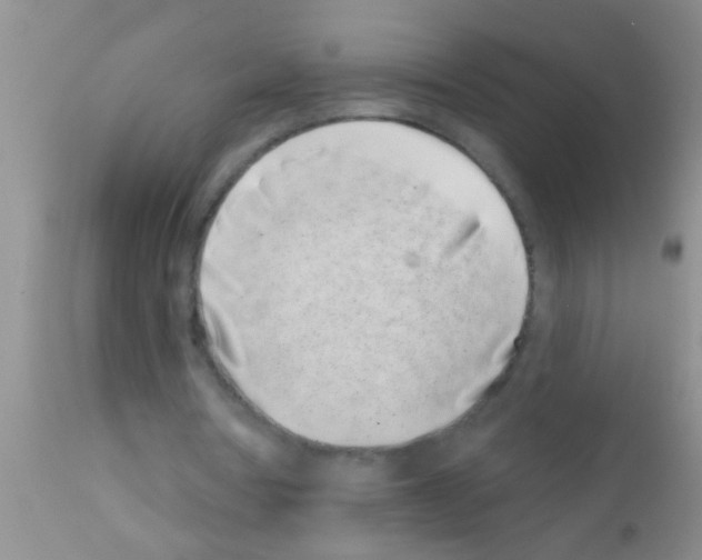 X0000111890386200909031910