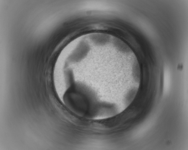 X0000111890387200909031910