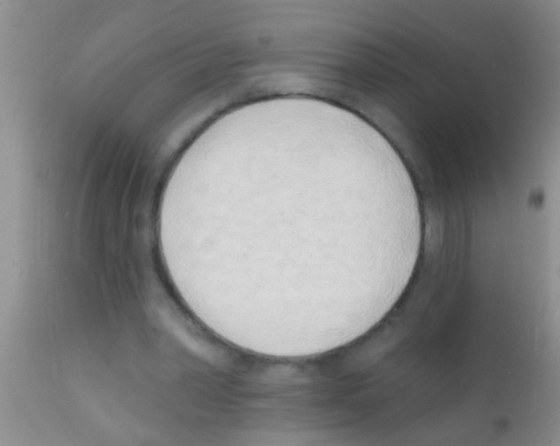 X0000111890390200909031910