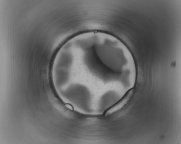 X0000111890391200909031910