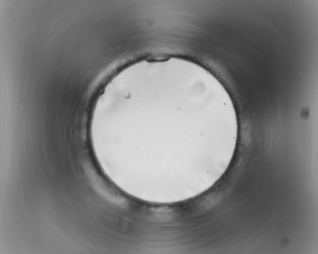 X0000111890395200909031910