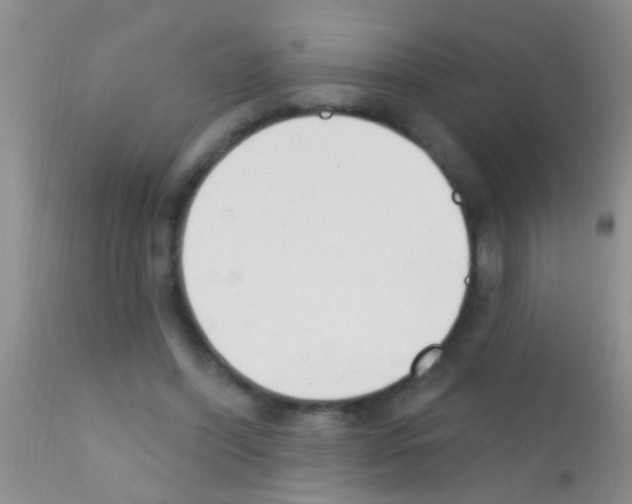 X0000111890396200909031910