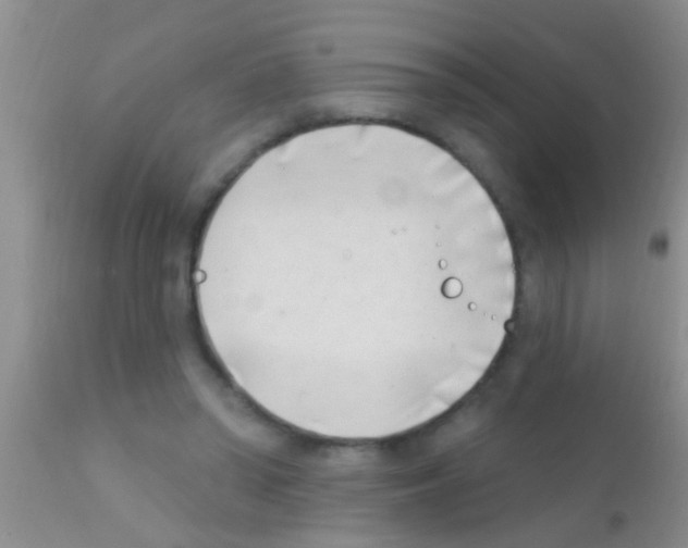 X0000111890398200909031910