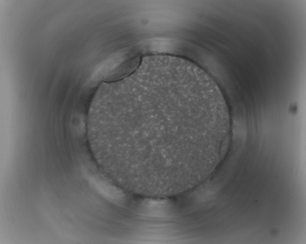 X0000111890401200909031909