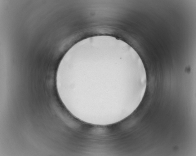 X0000111890402200909031909