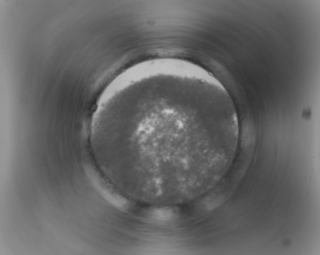 X0000111890405200909031909