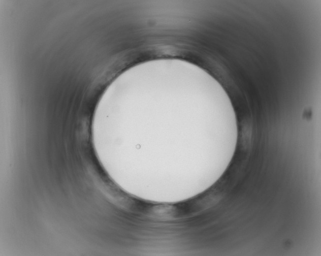 X0000111890410200909031909