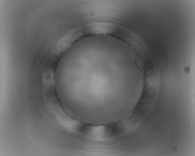 X0000111890411200909031909