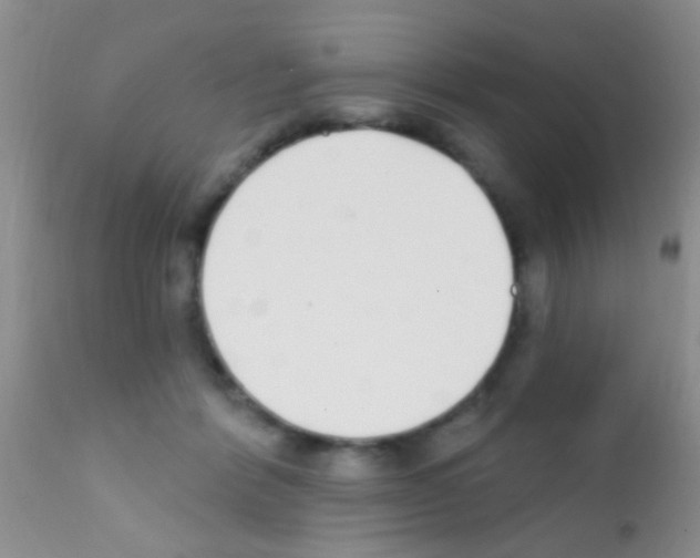 X0000111890412200909031909