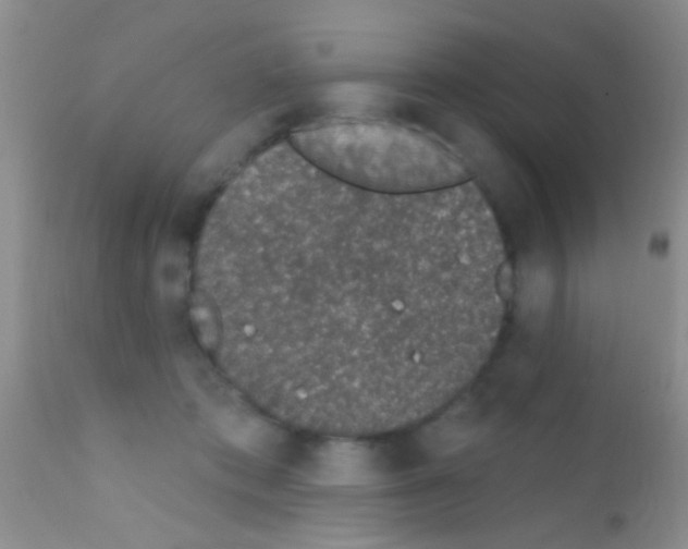 X0000111890413200909031909