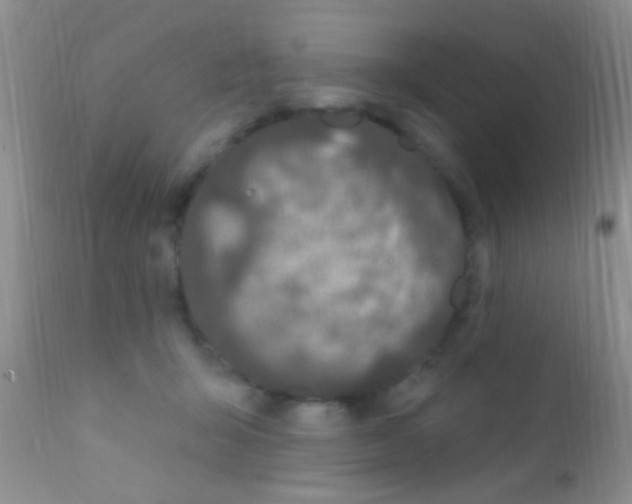 X0000111890415200909031909