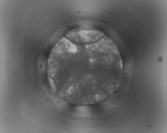 X0000111890417200909031909