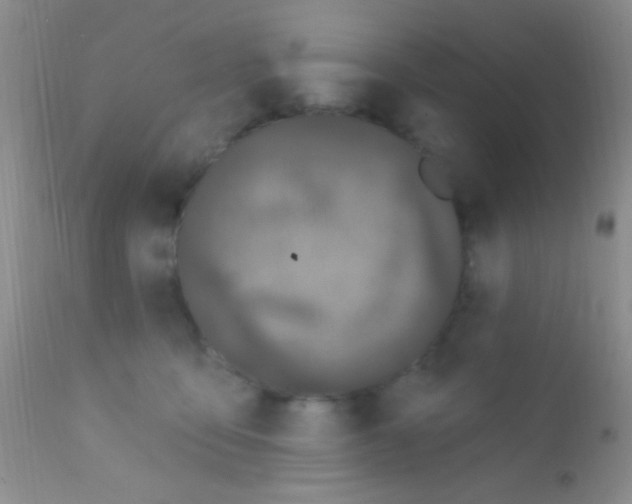 X0000111890419200909031909