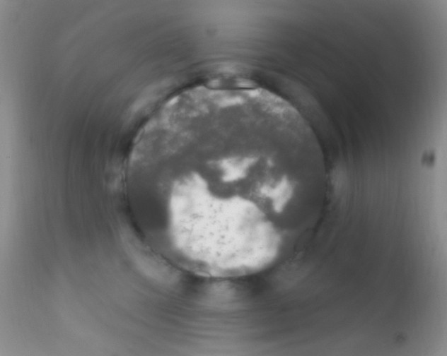 X0000111890423200909031909