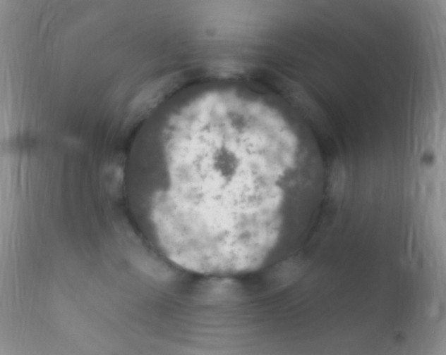 X0000111890427200909031909