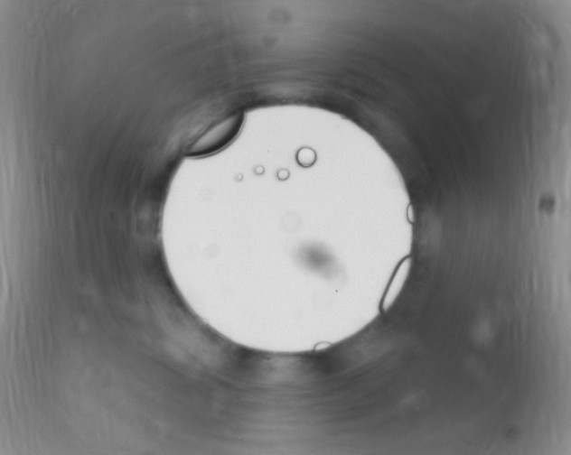 X0000111890428200909031909