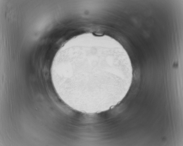 X0000111890429200909031909