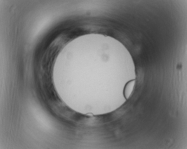 X0000111890430200909031909