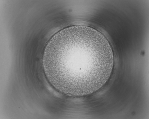 X0000111890433200909031908