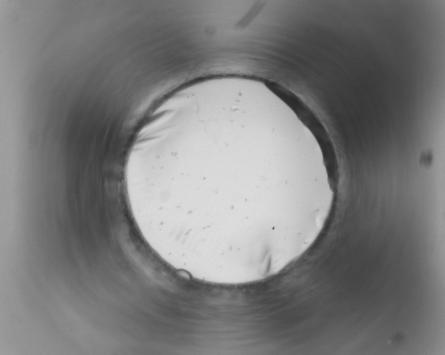 X0000111890434200909031908