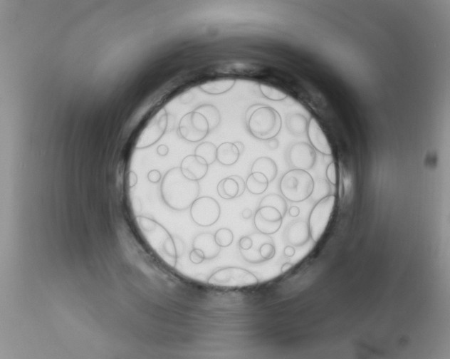 X0000111890435200909031908