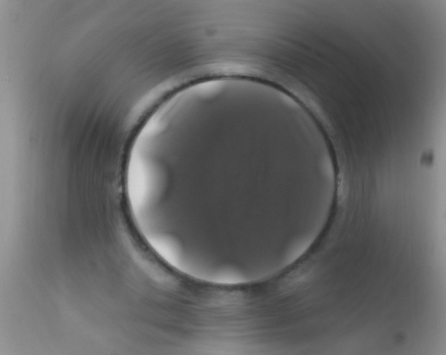 X0000111890438200909031908