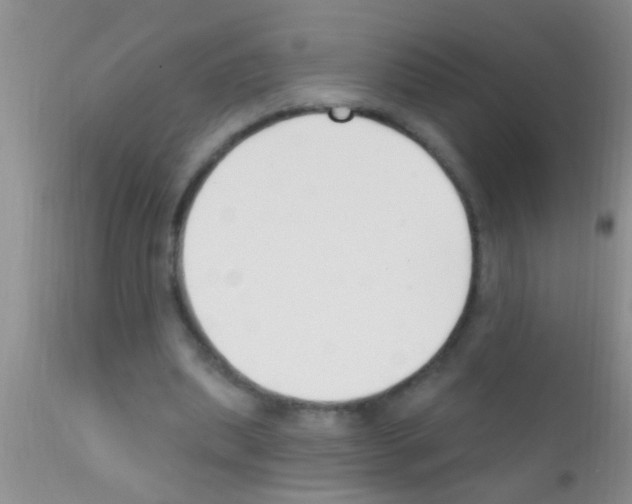 X0000111890439200909031908