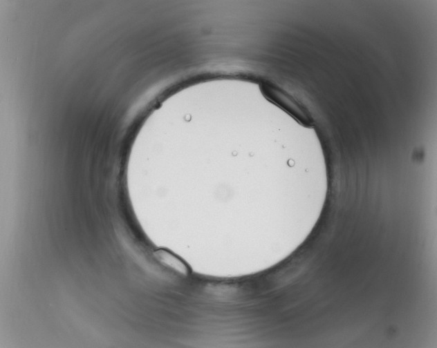 X0000111890440200909031908