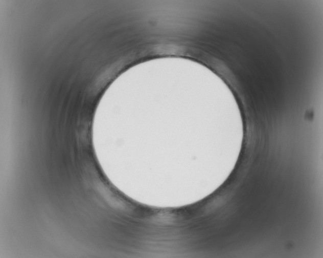 X0000111890441200909031908